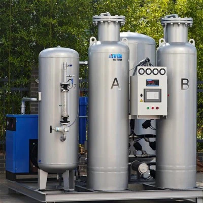 PSA Oxygen Plant For BIOX